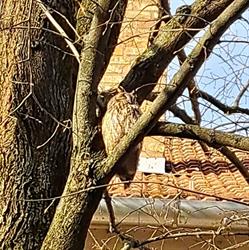 Földeáki Návay Lajos Általános Iskola
