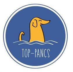 Top-Pancs