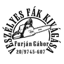 Furján Gábor - Veszélyes fák kivágása