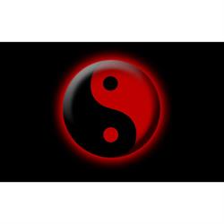 Kínai Orvosi Rendelő - YIN-Yang Egészségügyi és Oktatási Központ - Dr. Wang Yu Cai