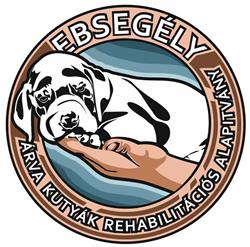 Ebsegély Alapítvány