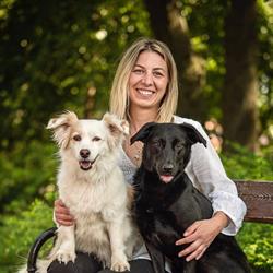 Fábián Sarolta Dog Grooming /Kutyakozmetikus
