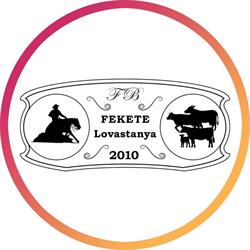 Fekete Western Lovastanya