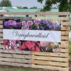 Virágkavalkád