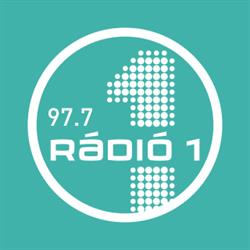 Vasi Friss Rádió Kft.