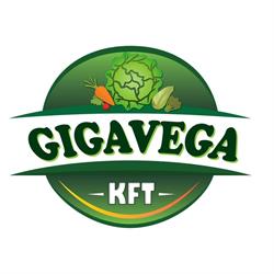 GigaVega Kft.