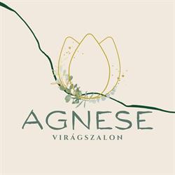AGNESE Virágszalon