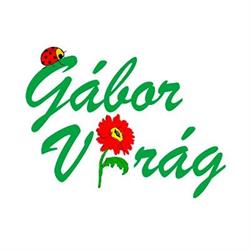 Gábor Virág