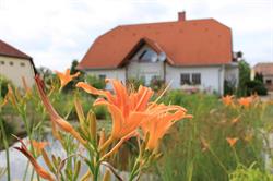 Immobilien Plattensee