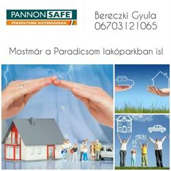 Pannon Safe Kft