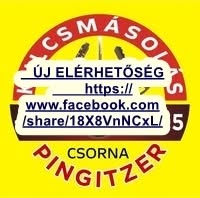Pingitzer kulcs&cipő szervíz