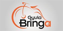 GyulaBringa