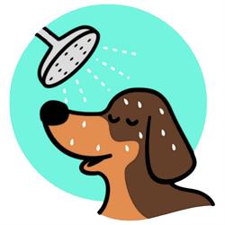 Woofie Pet Care Kutyakozmetika