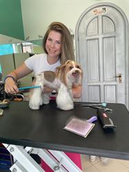 Ágoston Dóra Kutyakozmetikus