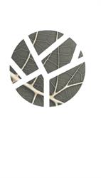 GREENSTUDIO
