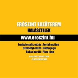 Erőszint Edzőterem Halásztelek