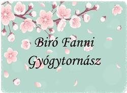 Biró Fanni Gyógytornász & Manuálterapeuta-Debrecen