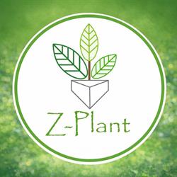 Z-Plant Törökszentmiklós