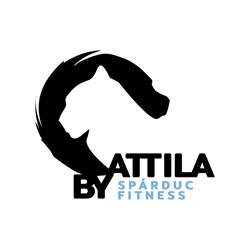 Spárduc Fitness