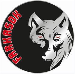 Farkasok Harcművészeti Egyesület