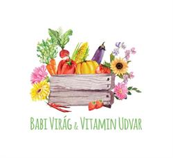 Babi Virág és Vitamin Udvar