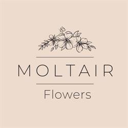 Moltair Flowers Szentendre