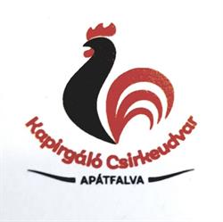 Kapirgáló Csirkeudvar Apátfalva