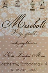 Mesebolt