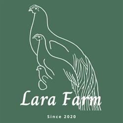 Lara Farm