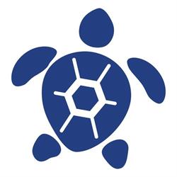 Debreceni Úszó Teknőcök Sportegyesület - www.dute.hu