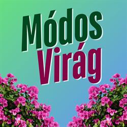 Módos Virág