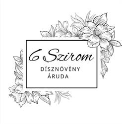 6 Szirom Dísznövény Áruda