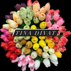 Tina Divat - és Ajándékbolt