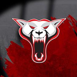 Budapest Wolves
