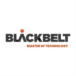 BlackBelt Technology