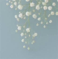 Crescere Verde - floral design - Németh Zsuzsanna e.v.