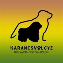Karancsvölgye kutyapanzió és napközi