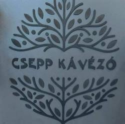 Csepp Kávézó