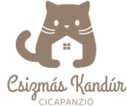Csizmás Kandúr Cicapanzió Nyíregyháza