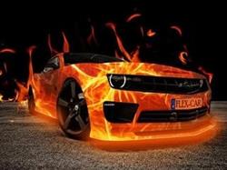 Flex-Car Kft.
