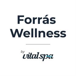 Forrás Wellness masszázsmedence szakkereskedés
