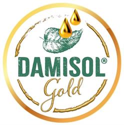 Damisol Kft.