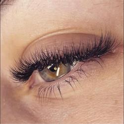 Zsófia Kovács - Lash and Brows