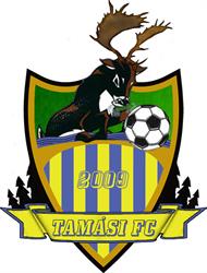 Tamási 2009 FC, Németh László városi sportpálya