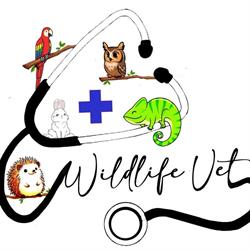 Wildlife Vet