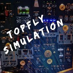 TopFly Simulation
