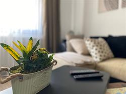Zöld Ajtó Apartman