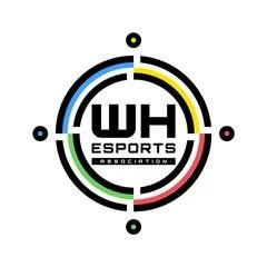 Nyugat-Magyarországi E-sport Egyesület - WHEsports