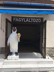 Jégkunyhó fagylaltozó