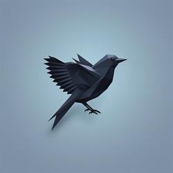 Blackbird 3D Works
